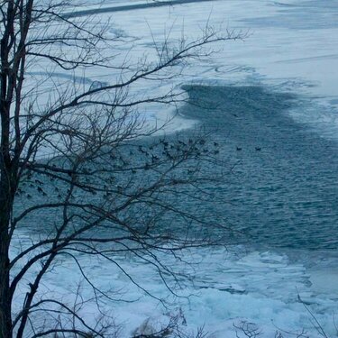 Party Time at Lake Erie...