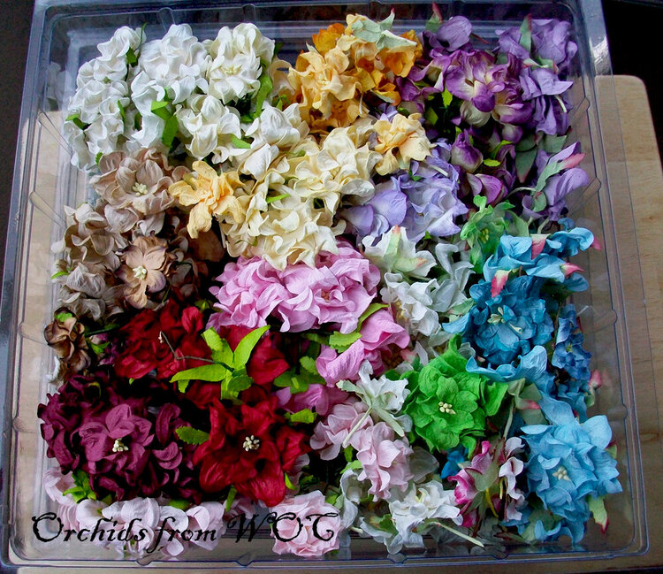Wild Orchid Crafts Flowers...