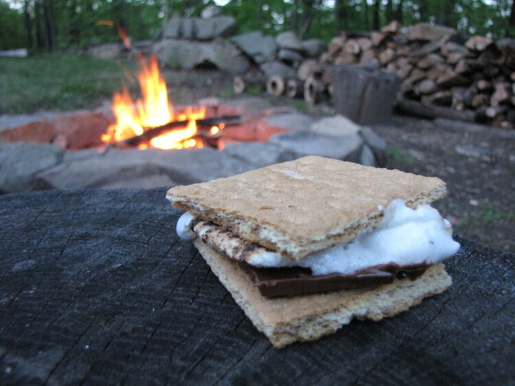 s&#039;mores by the fire