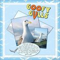 Goofy Gulls!