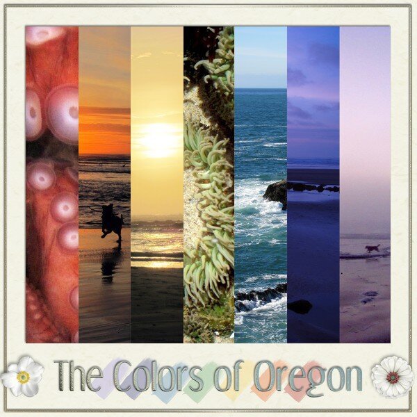 Colors Of Oregon