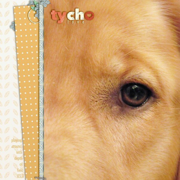 Tycho Love