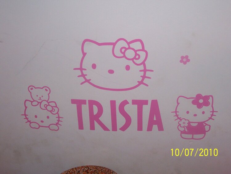 vinal lettering on my daughters wall