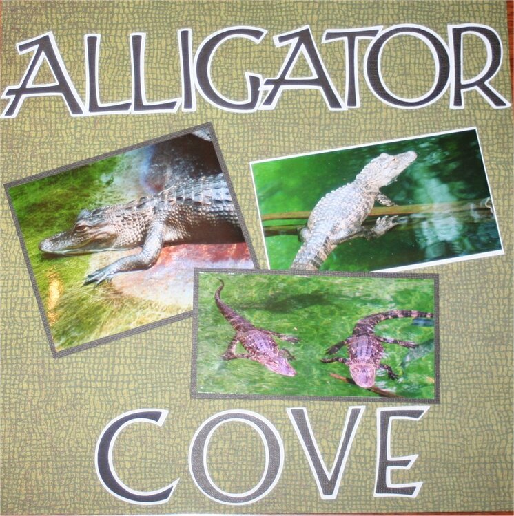 Alligator Cove(L)