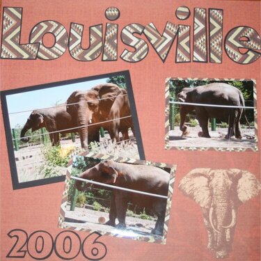 Elephants-Louisville Zoo