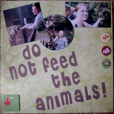 Do Not Feed the Animals