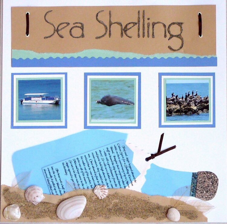 Sea Shelling