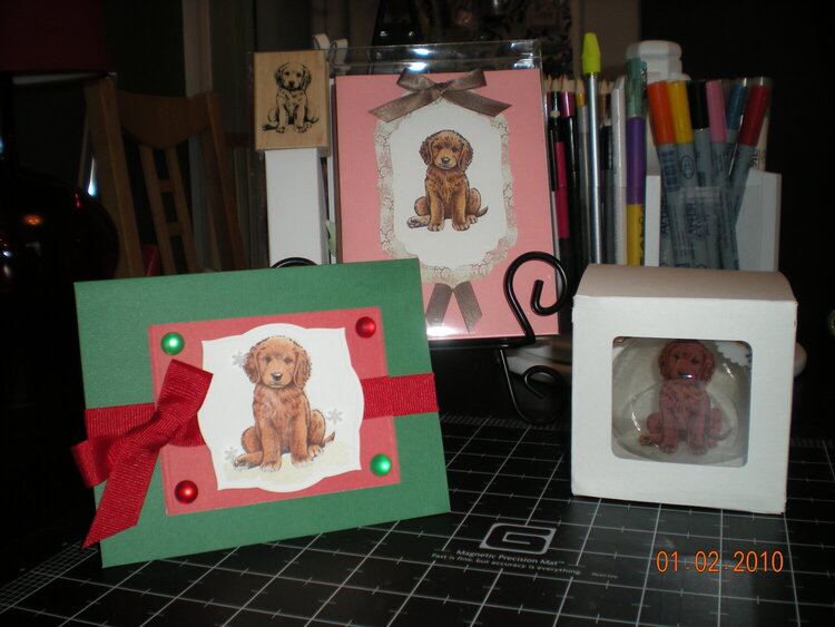 Baby Retriever Gift Set