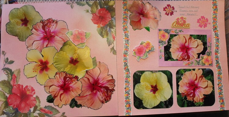 2 page Hibiscus
