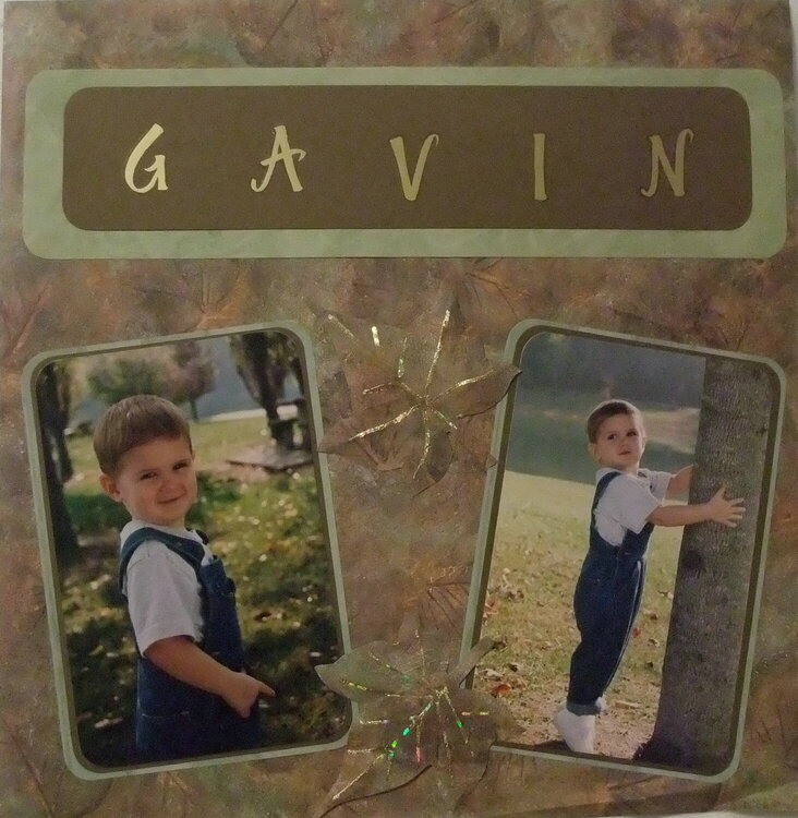 GAVIN