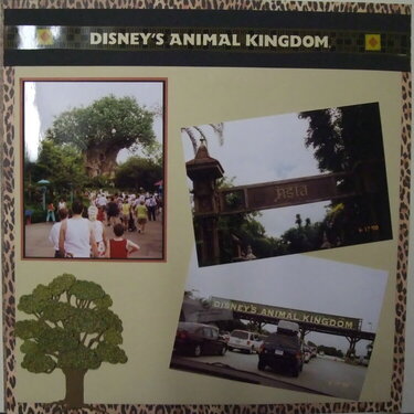 2003 DISNEYWORLD (Animal Kingdom)