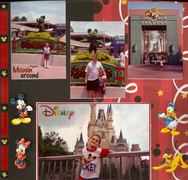 WALT DISNEY WORLD