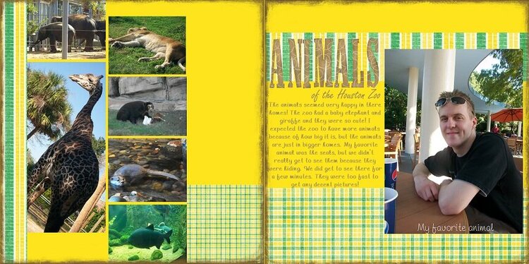 Animals of the houston zoo