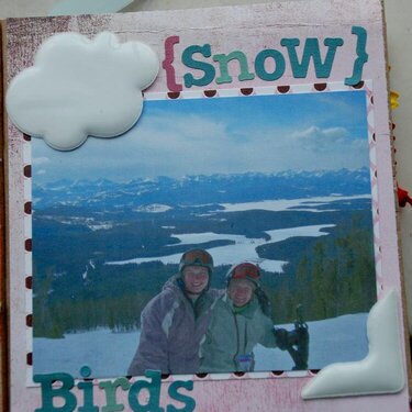 Snow Birds