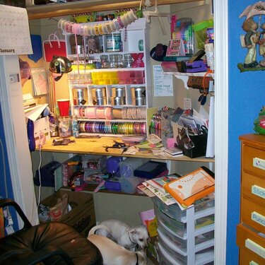 Before Organization: My Converted Closet