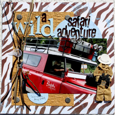 A Wild Safari Adventure