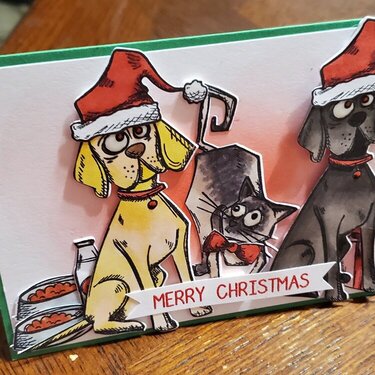 Merry Christmas dog cat card
