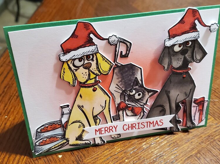 Merry Christmas dog cat card