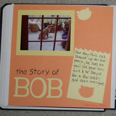 Story of Bob