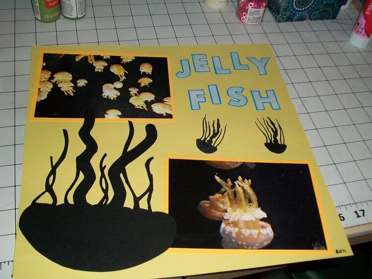 Jelly Fish