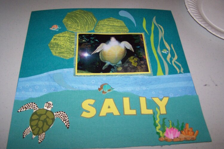 Sally the giant turtle