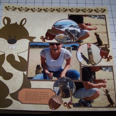 Bird Rock Pebble Beach