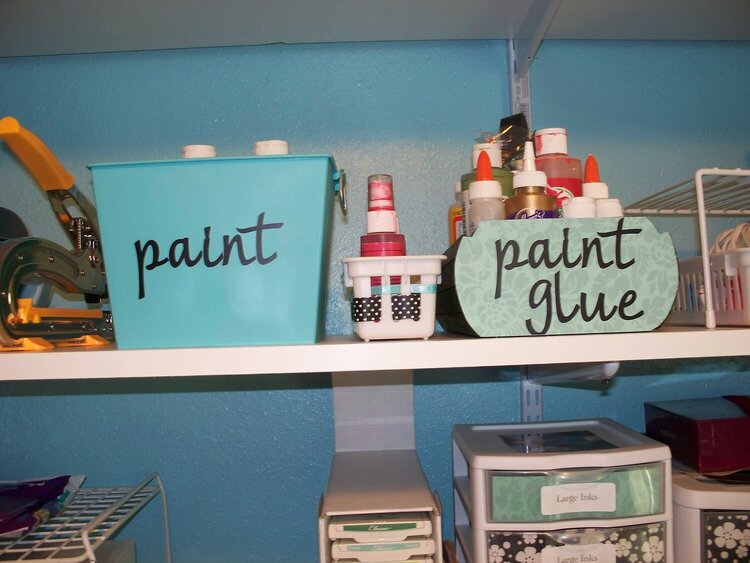Paint/Glue Storage