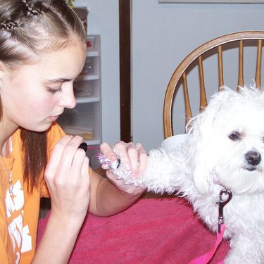 Mar. Mini #6 "Why Me?"