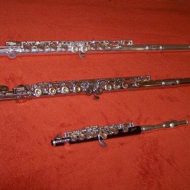 2. Flutes {10pts.}