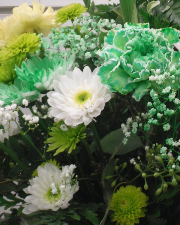 15. Flower Dyed Green for St. Patrick&#039;s Day {6 pts}