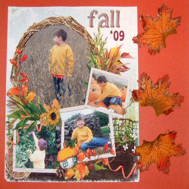 fall 09