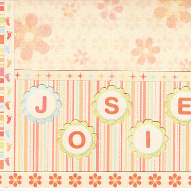 Josie&#039;s card cover