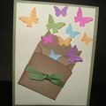 Butterfly envelope