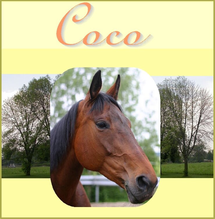 COCO  www.piecesofyoudesigns.com