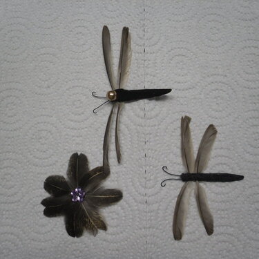 More featherrflies!!