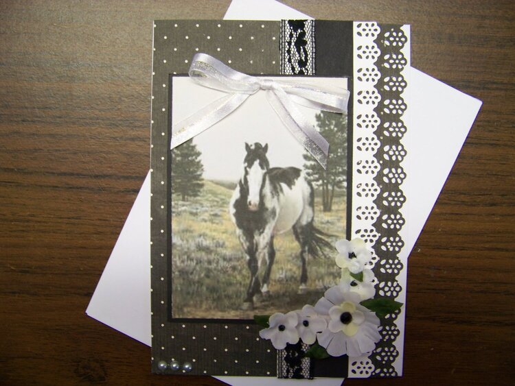 Horse card