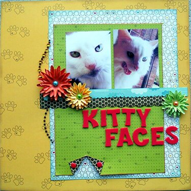 Kitty Faces