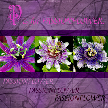 P is for Passionflower