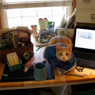 Scrapbook Table in Use