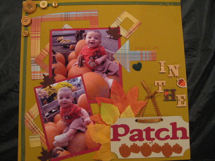 in the patch of pumpkins