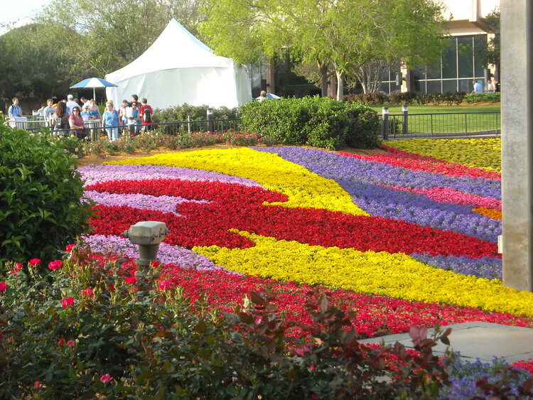 more flower and garden festival