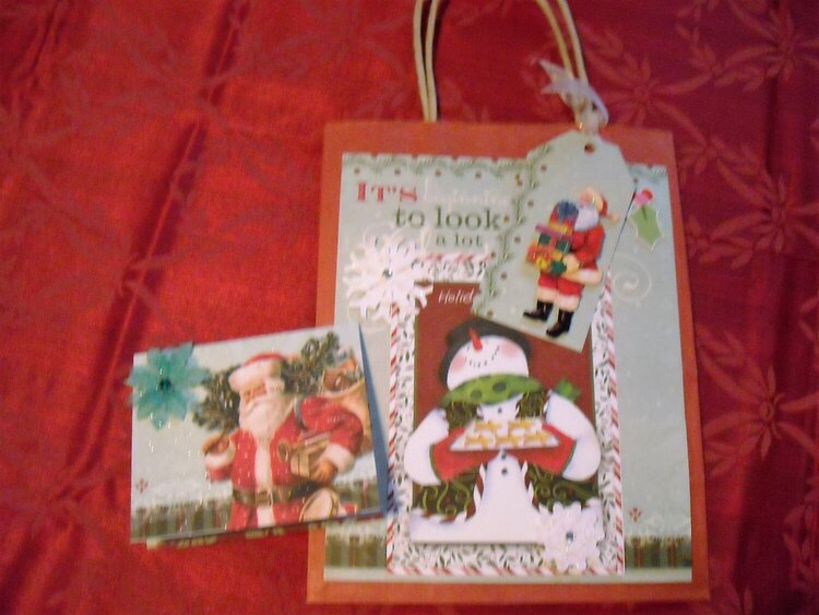 Bag, Tag and Gift Card Holder #9