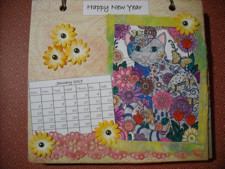 2019 Cat Calendar (January)
