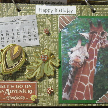 2019 Giraffe Calendar (June)