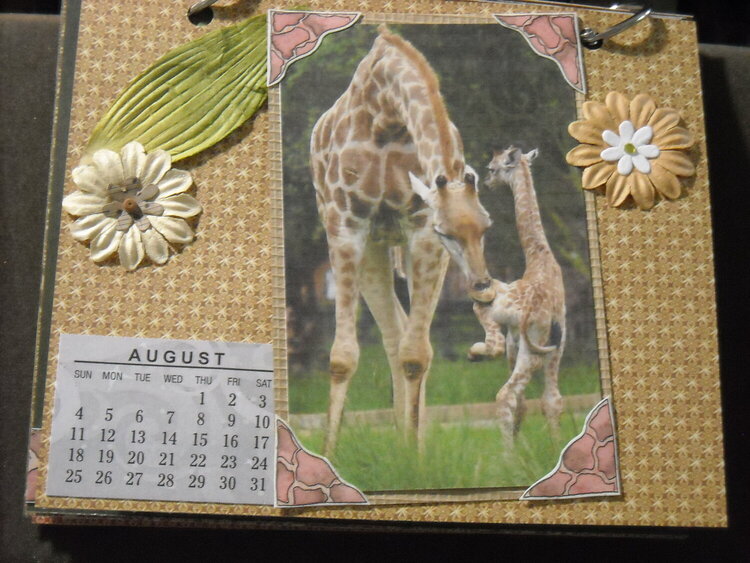 2019 Giraffe Calendar (August)