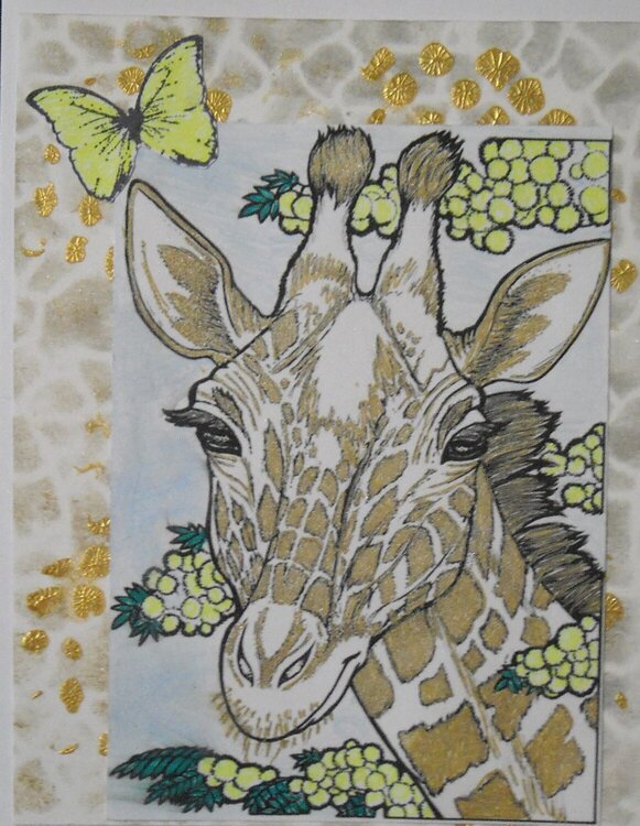 Giraffe   Anytime card