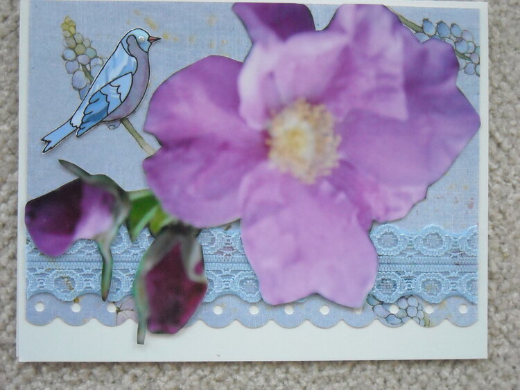 Bluebird and Wild Roses
