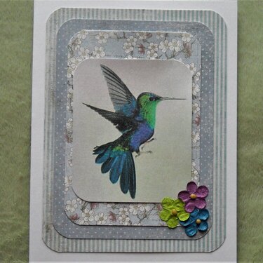 Blue/Green Hummingbird