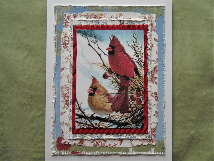 Cardinal Couple