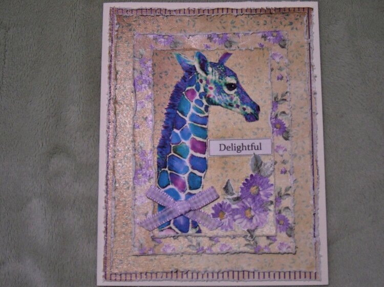 Delightful Giraffe